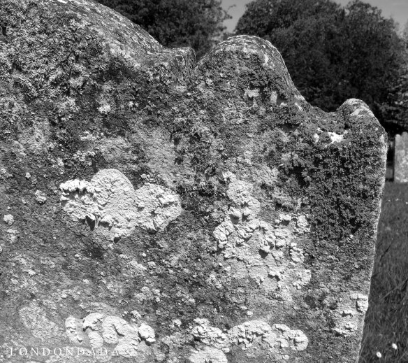 Lichen on a gravestone in Wittersham