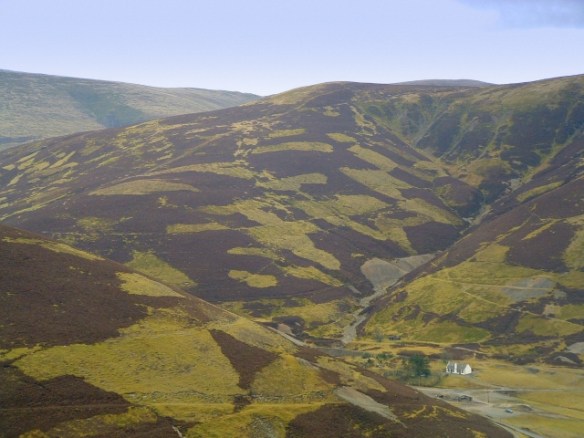 nd-35-axminster-land