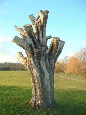 Education Education Education2a