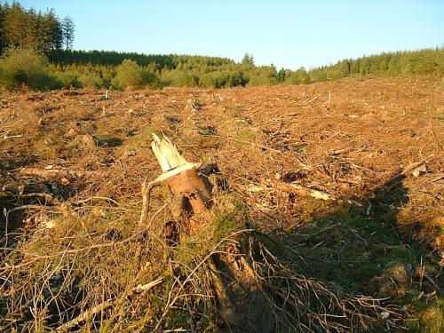 IKEA Killing Grounds1