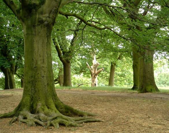 2045911_ad8e7df3d1_o