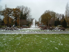 DADA White Christmas 2