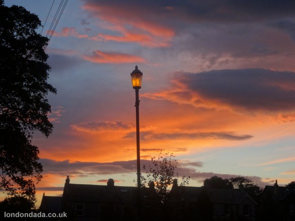 7731835_ea22fcd436_l