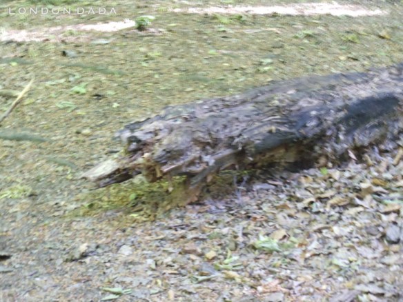 5693399_946733d26f_l