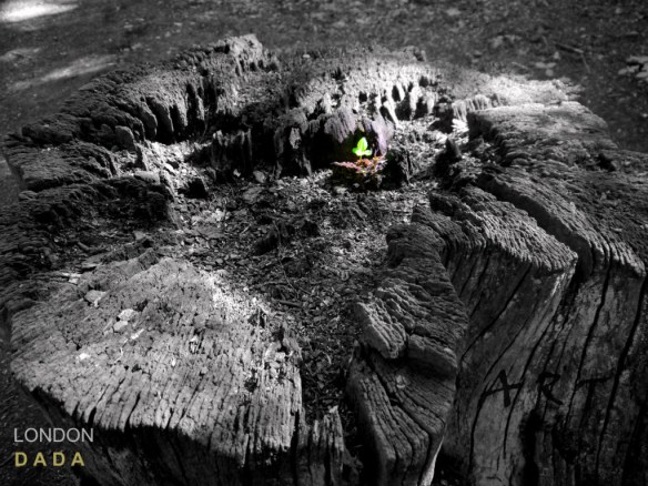 8364705_2488b069d1_l