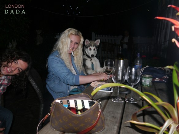 night of the husky pup