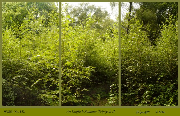 An English Summer TRiptych II