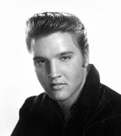 elvis