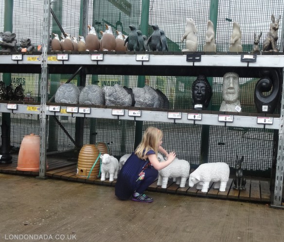 alice in garden land